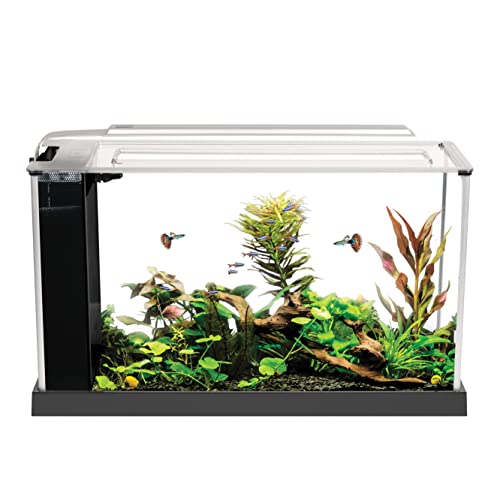 Fluval Spec 5 Nano Aquarium, mit 19L Fassungsvermoegen, in weiss von Fluval