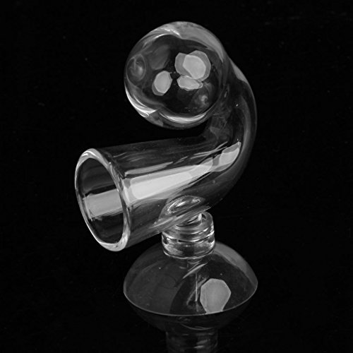 Fluxioxtna CO2-Drop Checker Glas Kohlendioxid Monitor CO2-Indikator Für Gepflanzte Aquariumfische Für CO2-Detektor Mit Fluxioxtna CO2-Drop Checker Glas Kohlendioxid Monitor CO2-Indikator Für Gepflanzte Aquariumfische Für CO2-Detektor Mit von Fluxioxtna