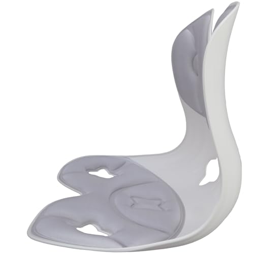 Fluxioxtna Ergonomische Sitzpose Korrektur Sitzkissen Mit Lumbaler Unterstützung Für Rückenschmerzen Hilfsbüro Hausstuhl Ergonomic Back Stuhl Mit Lumbalkissen von Fluxioxtna