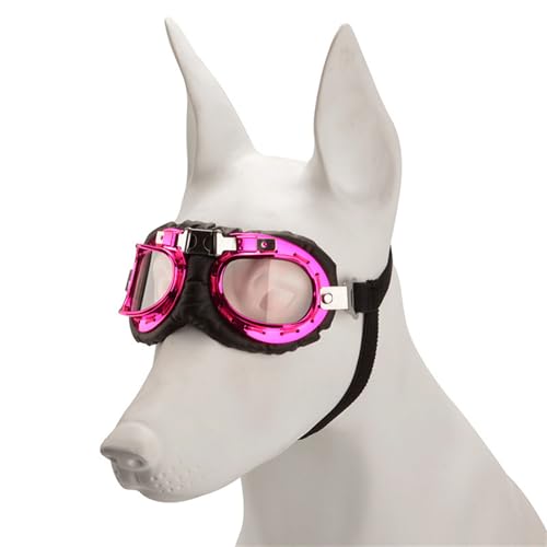 Hunde Mode Sonnenbrille Schöne Vintage Pet Sonnenbrille Reflexion Eye Wear Brille Vacations Accessoires Flexible Gurtbrille Hunde Mode Sonnenbrille Schöne Vintage Pet Sonnenbrille Reflexion Eye Wear Brille Vacations Accessoires Flexible Gurtbrille von Fluxioxtna