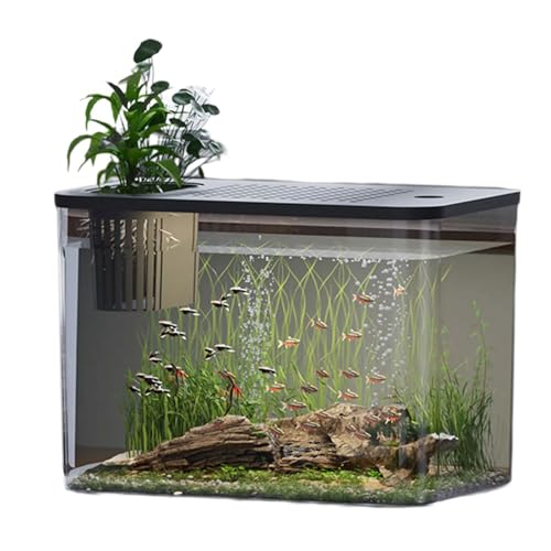 Fluxioxtna Modernes Leckdichtes Aquarium Mit Kindlich Sicherer Deckel Und Pflanzenhalter Home Office Desktop Fisch Lebensraum Ökologische Fischtanks von Fluxioxtna