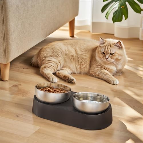 Edelstahl Katzennapf erhöht & Hundenapf - Verstellbarer Futternapf 0-15° Neigung, Großes Fressnapf Set für Katzen und Kleine Hunde, Anti-Rutsch, Whisker Friendly, Inkl. Wasserschüssel, Saugnapf-Befest Edelstahl Katzennapf erhöht & Hundenapf - Verstellbarer Futternapf 0-15° Neigung, Großes Fressnapf Set für Katzen und Kleine Hunde, Anti-Rutsch, Whisker Friendly, Inkl. Wasserschüssel, Saugnapf-Befest von Flycity