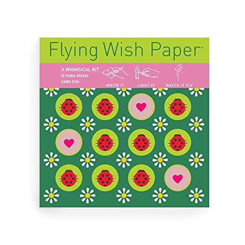 Flying Wish Paper Ladybug Lizenziertes Original-Kunstwerk, Mini-Wunschset, 12,7 x 12,7 cm von Flying Wish Paper