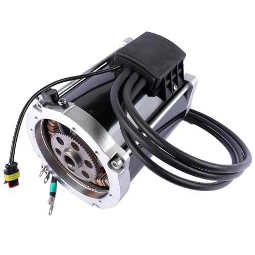 Flynsu 48 V AC Elektromotor 680638 Ersatz für EZGO Golf Cart RXV Cushman 800 Modelle 2016–2024 von Flynsu