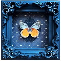 Holzrahmen Schmetterling Delias Descombesi Gothic Kunst Dekor Präparatoren Insekt Halloween Entomologie Wand Box Getrockneter Kuriosität von Flyworlds