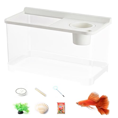 FmtwPhn Betta Aquarium 3 Farben Licht - Schreibtisch-Aquarium | Hydroponisches Tischaquarium Für Tischlandschaft Home Arbeitsplatz Eingangsbereich Schlafzimmer von FmtwPhn