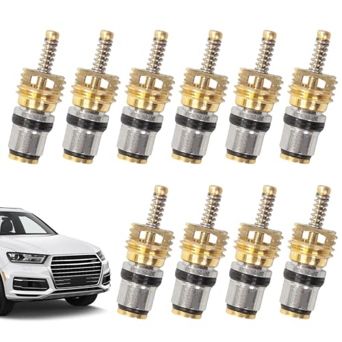 FmtwPhn Ventileinsatz Für Klimaanlage - Klimaanlagenventilkern - 10 Stücke Hochdruck Ventileinsatz Reparatur Zubehör Für Wohnmobil, Auto, Fahrzeug Und Kühlschrank FmtwPhn Ventileinsatz Für Klimaanlage - Klimaanlagenventilkern - 10 Stücke Hochdruck Ventileinsatz Reparatur Zubehör Für Wohnmobil, Auto, Fahrzeug Und Kühlschrank von FmtwPhn