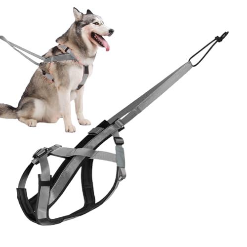 Hundez Ziehen Kabelbaum - Verstellbare Trainingsgurte, Reflektierender Riemen | Schwerleichter Outdoor -Trainingsausrüstung, Bequemer Nylon Big Dogs -Geschirr Mit Traktionsseilbefestigung Zum Rodeln U von Fmzrbnih