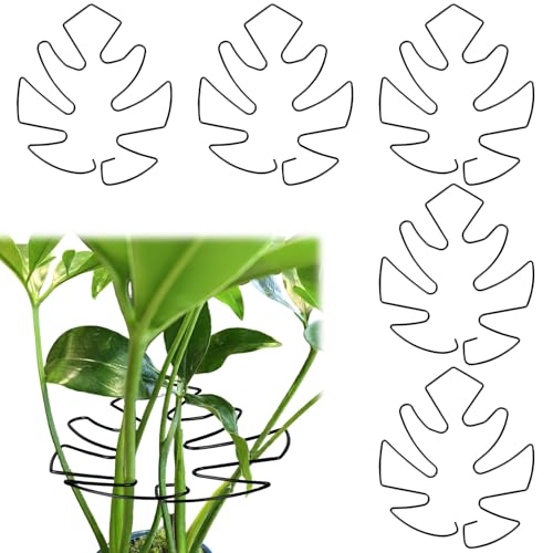 Fnaobai 5 Stück Pflanzenstielhalter Unterstützung Schildkrötenmuschel Bambusmuschel Set für Kletterpflanzen Indoor Monstera Leaf Pflanzenunterstützung Zubehör für Outdoor Gärten hält Pflanzen gedeihen von Fnaobai
