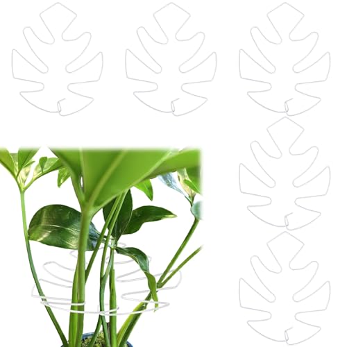 Fnaobai 5 Stück Pflanzenstielhalter Unterstützung Schildkrötenmuschel Bambusmuschel Set für Kletterpflanzen Indoor Monstera Leaf Pflanzenunterstützung Zubehör für Outdoor Gärten hält Pflanzen gedeihen von Fnaobai