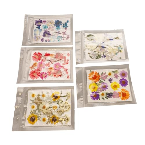 Focket 5 Handtaschen Drückten Blumen Viver Rich Multi -Details Colease Colored Drive Blumen Zur DIY -Form (Typ 1) von Focket