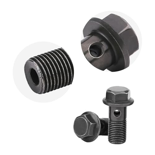 Focket Motorradbremskupplung Banjo Bolzen & Waschmaschinen Anti -Korrosion M10 X1.25/M10 * 1,0 Mm für Bremssattel (M10 × 1 mm) von Focket
