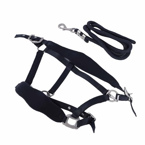 Focket Pferdehalter, Einstellbare Polyester -Halter mit Polsterung für das Training und den Täglichen Gebrauch (L 14,4 x 6,5 x 1,6 Zoll) von Focket