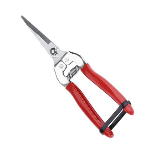 Focket Robuste Gartenschneidebähne Ergonomische Schere für Obstbäume mit Frühlingsmechanismus für Gartenliebhaber (Gerader Kopf) von Focket