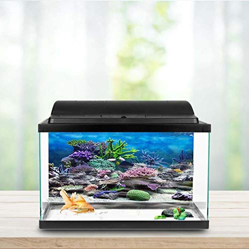 Wunderschöner Fisch Poster Hintergrund für Aquarium, schwarzer Hintergrund für Aquarium, Aquarium, Aquarium für den Hausgebrauch des Pavillons des Ozeans für Aquarien (76 x 30 cm) von Focket