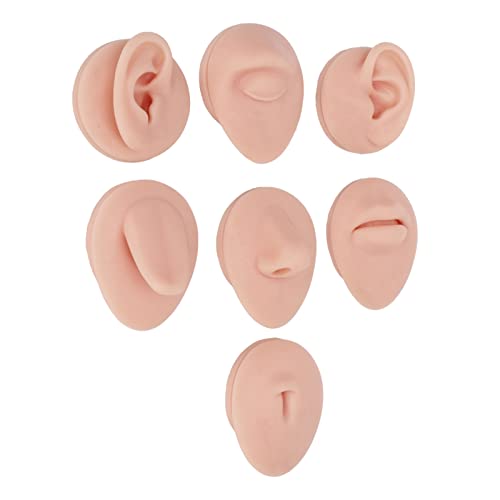 Fockety Piercing-Übungsmodell, Wiederverwendbare Elastische Silikon-Piercing-Übungskörperteile mit Acrylständer, Piercing-Übungsset mit Augen-, Nasen-, Mund-, Zungen-, Nabel- und Ohrmodell (Mittlere von Fockety