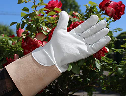 Förster-Fellnest Rosenhandschuhe aus echtem Rind-Leder mit kräftiger Stulpe und gutem Griff. Gartenhandschuhe Leder von Förster-Fellnest