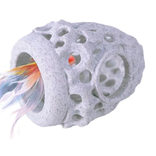 Fogukier Aquariumhöhle – Aquarium-Ornamente – hohles Versteck für Garnelenruhe, Rasse, Spielversteck, Reptiliengehege, kleine Reptilien Fogukier Aquariumhöhle – Aquarium-Ornamente – hohles Versteck für Garnelenruhe, Rasse, Spielversteck, Reptiliengehege, kleine Reptilien von Fogukier