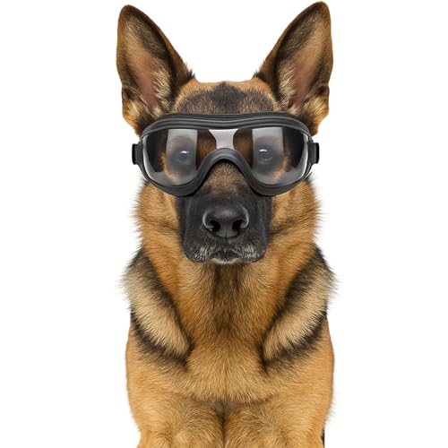 Fohuanky Hundebrille für mittelgroße und große Rassen, Verstellbarer Riemen, UV-Schutz, Brille für Golden Retriever, Labrador, Deutscher Schäferhund, Boxer (Transparent) von Fohuanky
