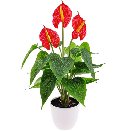 Folmywy Künstliche Anthurium Pflanze Rot 38 cm Mit Langlebige Kunstblumen Grünen Blättern Pflegeleichte Kunstpflanzen Kunststofftopf Deko für Wohnzimmer Schlafzimmer Balkon Inneneinrichtung von Folmywy