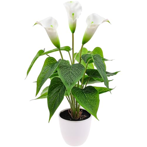 Folmywy Künstliche Calla Lilie Pflanze Weiß 40 cm Kunststoff Übertopf Moderne Inneneinrichtung Echt wirkend Pflanze Deko für Garten Deko Terrasse Terrasse Gartenaccessoires Wohnzimmertisch Folmywy Künstliche Calla Lilie Pflanze Weiß 40 cm Kunststoff Übertopf Moderne Inneneinrichtung Echt wirkend Pflanze Deko für Garten Deko Terrasse Terrasse Gartenaccessoires Wohnzimmertisch von Folmywy