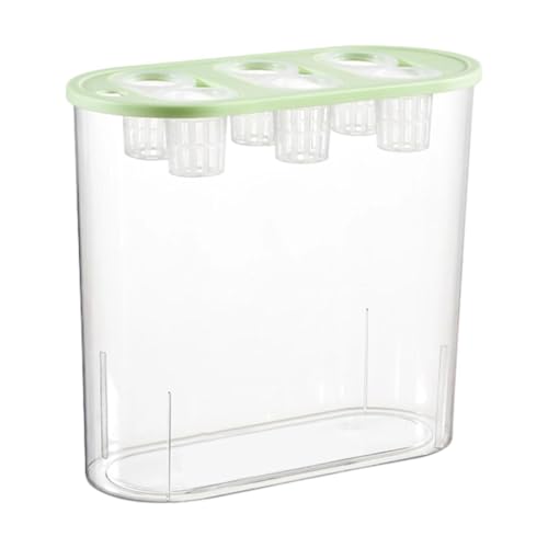 Folpus Grower Box Transparente Plant Box 6 Löcher Praktischer Desktop Mikrolandschaftstank für Den Anbau zu Hause, GrÜn Folpus Grower Box Transparente Plant Box 6 Löcher Praktischer Desktop Mikrolandschaftstank für Den Anbau zu Hause, GrÜn von Folpus
