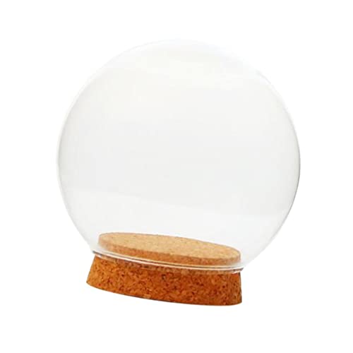 Folpus Kugelförmige Abdeckung, Glasglocke, Sukkulenten Terrarienflasche, DIY Mikrolandschafts Terrarium Kuppelglas mit, 12 cm von Folpus