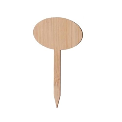 Pflanzenetiketten aus Holz, Pflanzenschilder, Gartenmarkierungen, Sukkulenten-Werkzeug, 10 Stück Zur Erfassung von Pflanzennamen(A) von FonHNDG