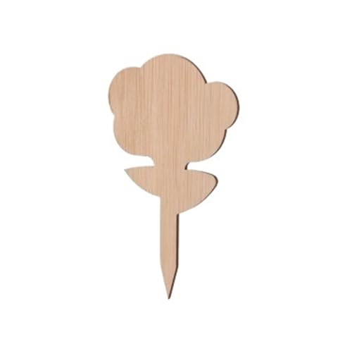 Pflanzenetiketten aus Holz, Pflanzenschilder, Gartenmarkierungen, Sukkulenten-Werkzeug, 10 Stück Zur Erfassung von Pflanzennamen(B) von FonHNDG