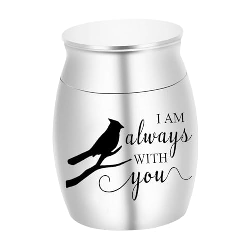 Fonowx Gedenkbox, Bestattungsaufbewahrungsbehälter, Einzigartig, Multifunktional, Praktisch, Tragbar, Metallurne, Haustierbestattungsbox für Katzen, Vögel, H, Silber Fonowx Gedenkbox, Bestattungsaufbewahrungsbehälter, Einzigartig, Multifunktional, Praktisch, Tragbar, Metallurne, Haustierbestattungsbox für Katzen, Vögel, H, Silber von Fonowx