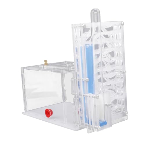 Fonowx Gehäuse Nest Clear Farm Clear Lustige Spielzeuge Werkstatt Acryl Farm Villa für Wohnzimmer Schlafzimmer Kindertag, Weiß von Fonowx