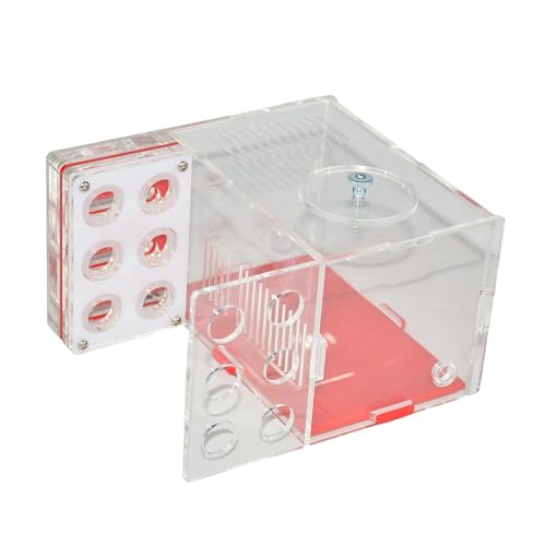 Fonowx Gehäuse Nest Farm Kompakte DIY Pädagogisches Spielzeug Werkstatt Acryl Farm Villa Käfig für Tischplatte Wohnzimmer Küche, 1.5 cm von Fonowx