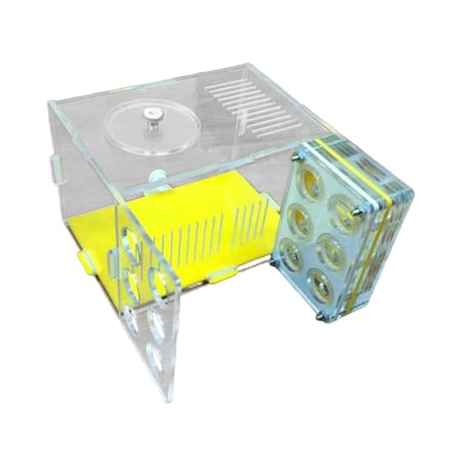 Fonowx Gehäuse Nest Farm Kompakte DIY Pädagogisches Spielzeug Werkstatt Acryl Farm Villa Käfig für Tischplatte Wohnzimmer Küche, 1.8 cm von Fonowx