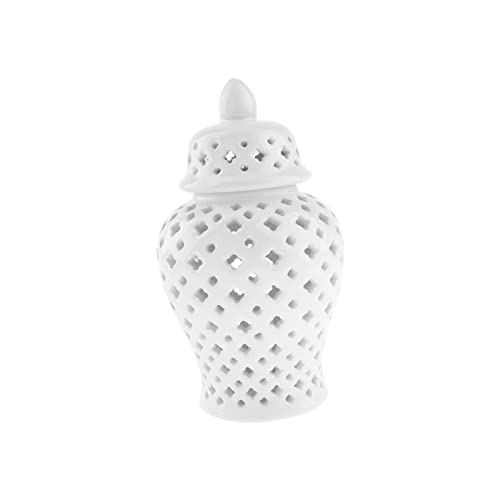 Fonowx Keramik Ginger Jar Vase Tempelglas mit Deckel Dekor Aufbewahrungsglas Handwerk von Fonowx