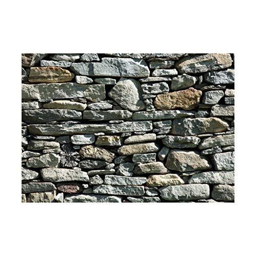 Fonowx Seite Fisch Tank Hintergrund Aquarium Fotografie Hintergrund Kinder Kinder, Steinwand, 122 x 46 cm Fonowx Seite Fisch Tank Hintergrund Aquarium Fotografie Hintergrund Kinder Kinder, Steinwand, 122 x 46 cm von Fonowx