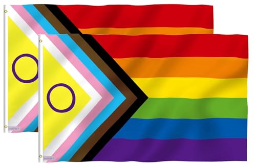Fontee® 2 Stück [Progress Pride Flagge] [90X150 cm] [Lebendige Farbe] [UV-lichtbeständig] [Leinwandkopf] [Doppelt genäht] [Dicke Messingösen] [Regenbogenfahne] von Fontee
