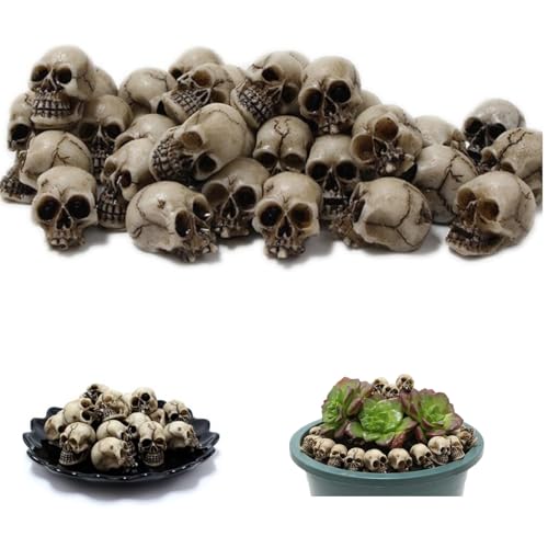 Fonyiunce 20 Stück Totenkopf Deko, Mini Totenkopf Figur, Halloween Deko Schädel, Harz Schädel Figuren, Horror Deko Mini Totenkopf Figur, für Spukhaus, Halloween Horror Party, Dekoration Fonyiunce 20 Stück Totenkopf Deko, Mini Totenkopf Figur, Halloween Deko Schädel, Harz Schädel Figuren, Horror Deko Mini Totenkopf Figur, für Spukhaus, Halloween Horror Party, Dekoration von Fonyiunce