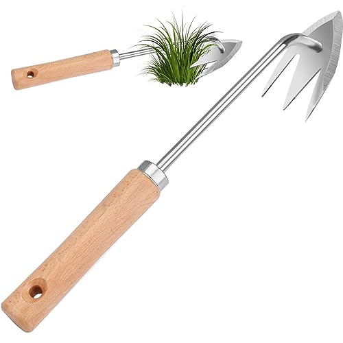 Fopytu Unkrautzielwerkzeug Unkraut Puller Garten Rake Klaue Unkrautentferner Werkzeug Hacke Handgartenwerkzeuge Handbuch Unkraut Werkzeug Garten Unkraut Tool Mit Holzgriff Fopytu Unkrautzielwerkzeug Unkraut Puller Garten Rake Klaue Unkrautentferner Werkzeug Hacke Handgartenwerkzeuge Handbuch Unkraut Werkzeug Garten Unkraut Tool Mit Holzgriff von Fopytu