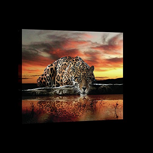 ForWall Leinwandbild Jaguar und Sonnenuntergang Natur Landschaft Tier Bilder O6 (80cm. x 60cm.) Leinwandbilder Wandbild AMFPP101O6 Wandbilder Bild von ForWall