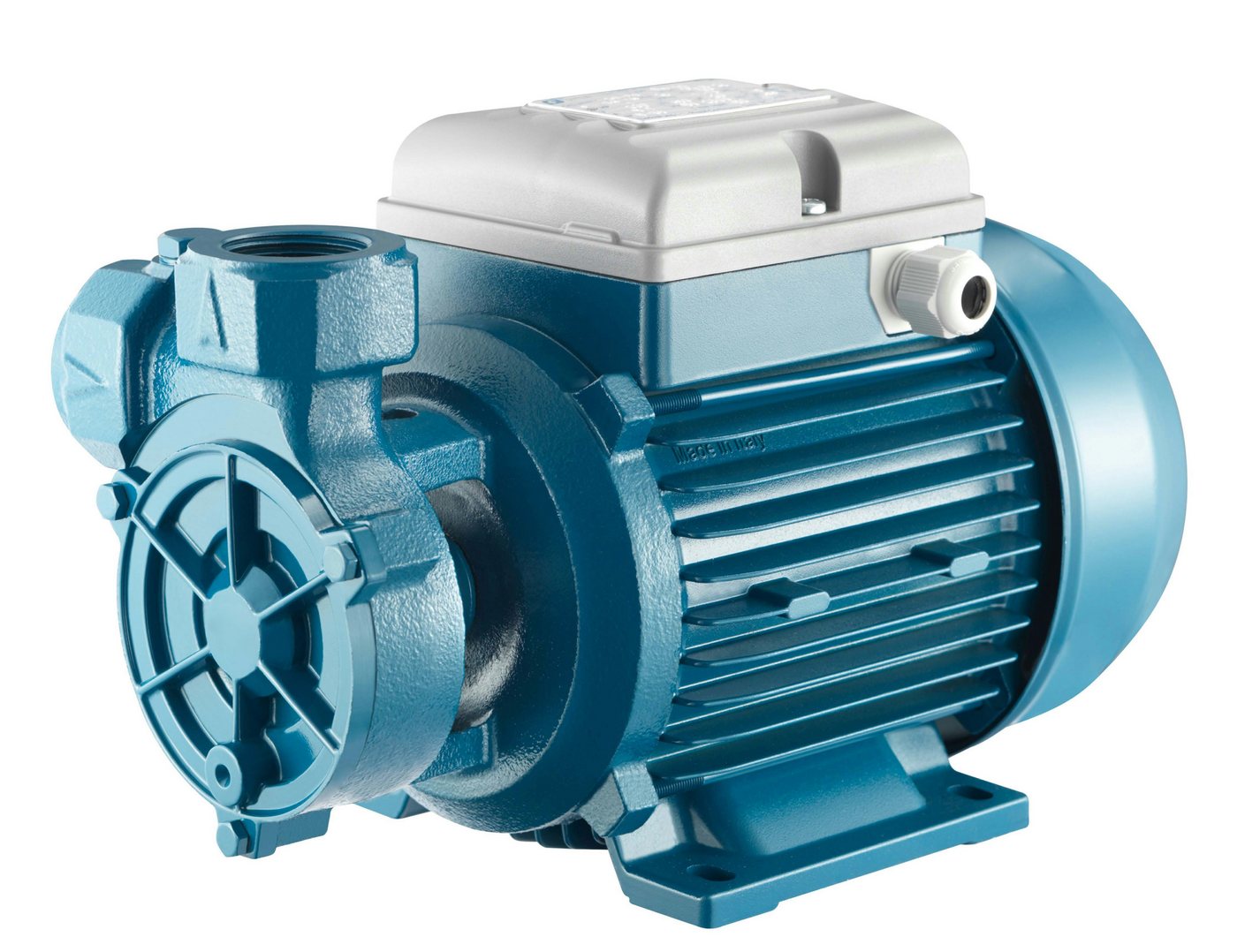 Foras Pump Gartenpumpe Peripheralpumpe PL100T made in Italy Antiblockierfunktion 400V 0.74kW Foras Pump Gartenpumpe Peripheralpumpe PL100T made in Italy Antiblockierfunktion 400V 0.74kW von Foras Pump