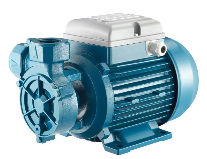 Foras Pump Gartenpumpe Peripheralpumpe PL100T made in Italy Antiblockierfunktion 400V 0.74kW von Foras Pump