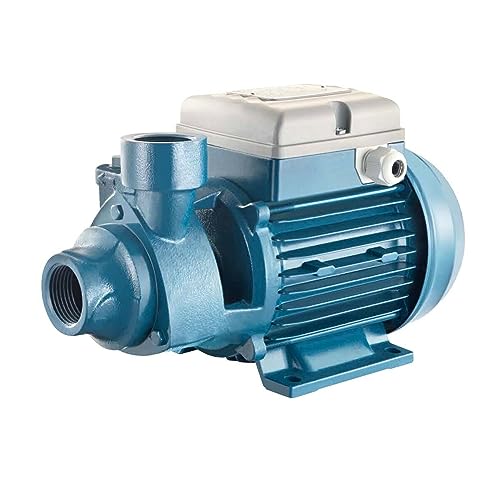 FORAS PE100T elektrische Peripheralpumpe, made in Italy, Dauerbetrieb, Pentax Antiblockierfunktion, 230/400V, 0.74 kW, 5-50 L/min, 65-18 m FORAS PE100T elektrische Peripheralpumpe, made in Italy, Dauerbetrieb, Pentax Antiblockierfunktion, 230/400V, 0.74 kW, 5-50 L/min, 65-18 m von Foras