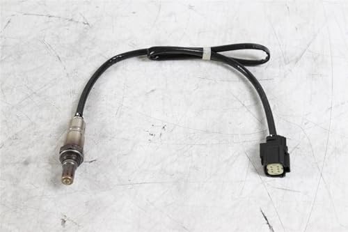 Ford Original ab 2015 SOHC Katalysator-Hego-Sensor 1914502 von Ford