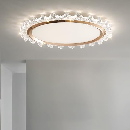 Fordeson 50cm Moderne LED Deckenleuchte Dimmbar 3000K-6000K – Elegante Blumen-Design Unterputz-Deckenlampe Flach, 50W Flurbeleuchtung für Schlafzimmer, Küche, Bad, Büro, Waschraum Fordeson 50cm Moderne LED Deckenleuchte Dimmbar 3000K-6000K – Elegante Blumen-Design Unterputz-Deckenlampe Flach, 50W Flurbeleuchtung für Schlafzimmer, Küche, Bad, Büro, Waschraum von Fordeson