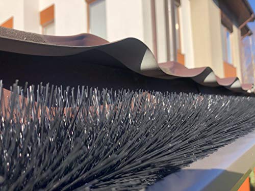 Forega - 35m 35 Stück Dachrinnenbürste Länge 100cm Durchmesser 8cm | UV-beständig | Laubschutz | Marderschutz, Regenrinne | Einfache Installation |Solarpanel-Schutz Forega - 35m 35 Stück Dachrinnenbürste Länge 100cm Durchmesser 8cm | UV-beständig | Laubschutz | Marderschutz, Regenrinne | Einfache Installation |Solarpanel-Schutz von Forega