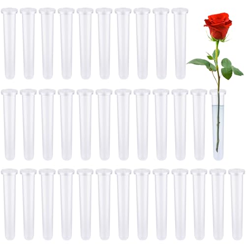 Forhandy 35 Stück Blumenröhrchen, Wiederverwendbare Reagenzgläser für Blumen Transparent Orchideenröhrchen mit Deckel, Blumen Wasserröhrchen mit Kappen für Blumenarrangements Forhandy 35 Stück Blumenröhrchen, Wiederverwendbare Reagenzgläser für Blumen Transparent Orchideenröhrchen mit Deckel, Blumen Wasserröhrchen mit Kappen für Blumenarrangements von Forhandy