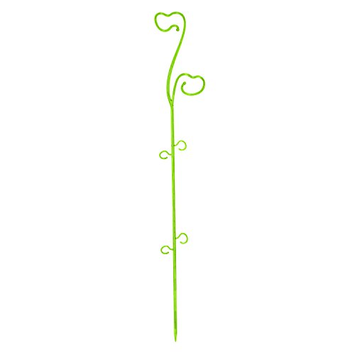 Form Plastic Orchideenstab Kunststoff modern Design kristall grün H 59 cm von Form Plastic