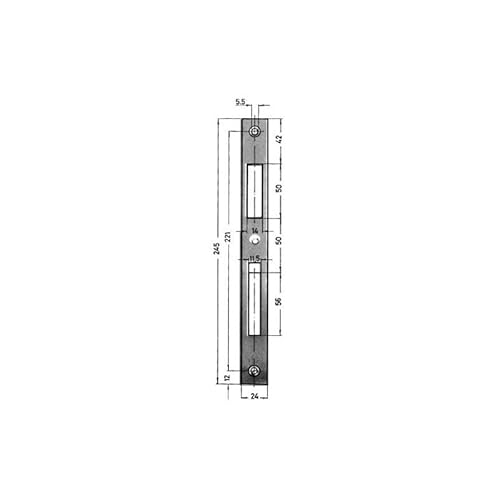 Format 4015501054335 - Schliessblech Nr. 0129-03-24/245 x 24 x 2 mm Verz von FORMAT