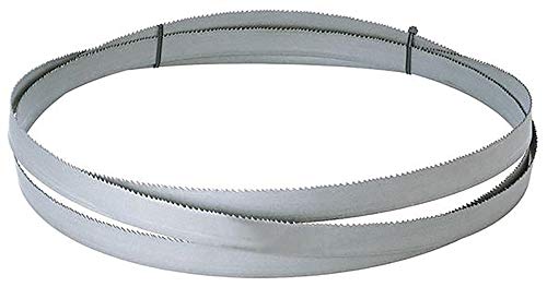 Format 7627600094 – Band Metall-Sägeblatt 3150 X 27 X 0,9 10 – 14Z FORMAT von FORMAT