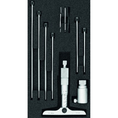 Tiefenmessschraube 0-100mm Tiefenmessschraube 0-100mm von Format